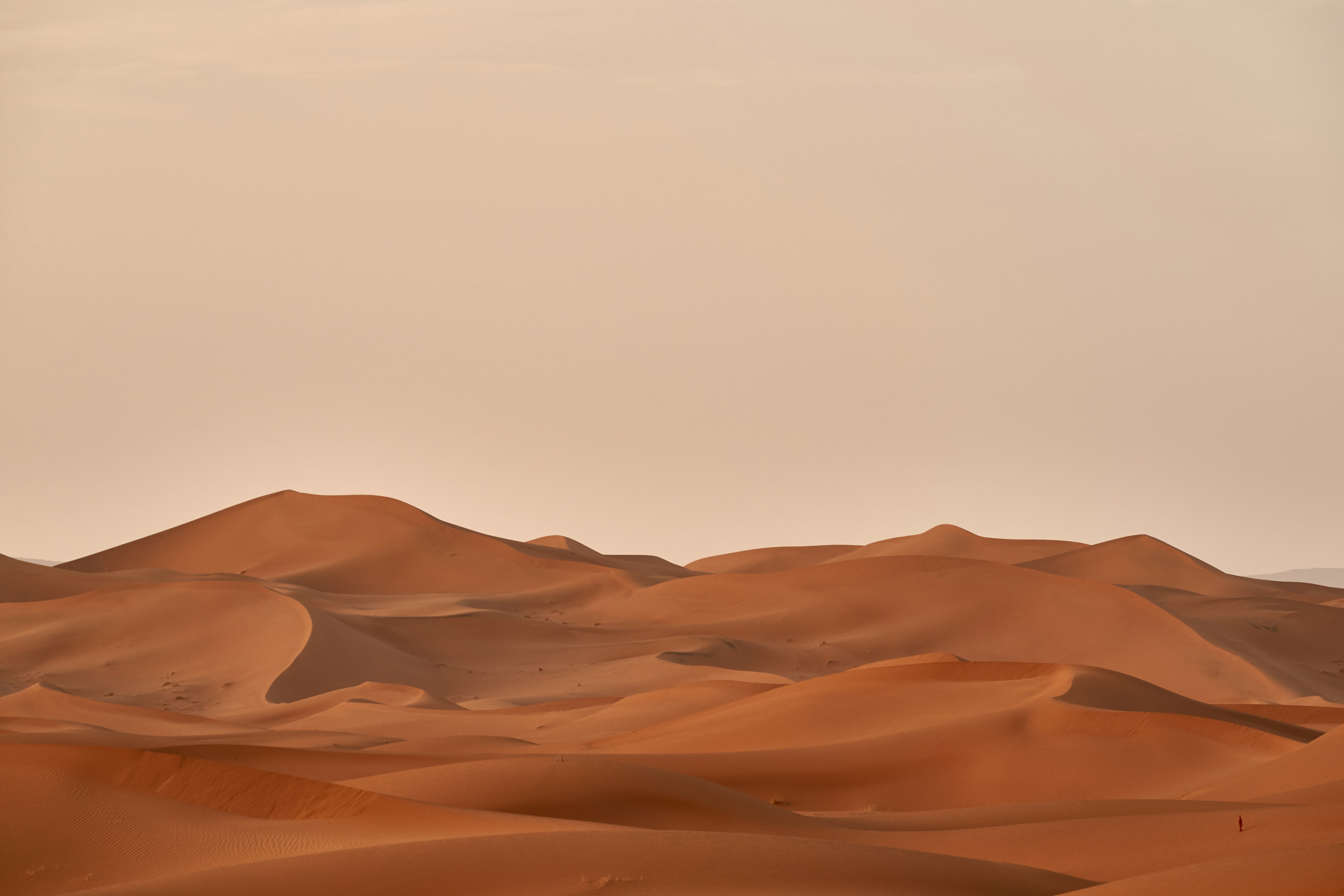 Wüstenlandschaft der Vereinigten Arabischen Emirate